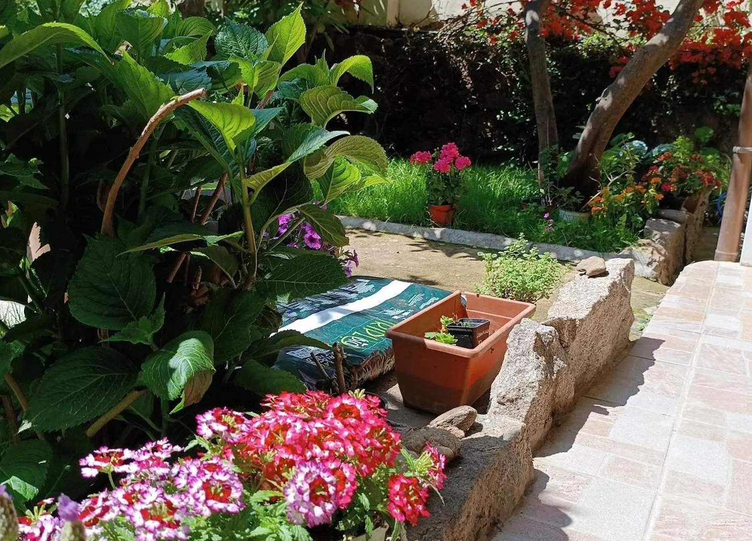 Domo Janas Guesthouse Olbia Guest house